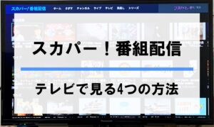 スカパー番組配信をテレビで見る方法